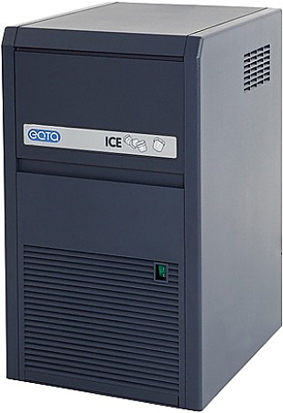 ECM 184A