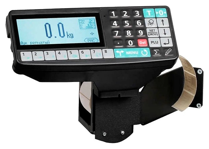Весы напольные МАССА-К 4D-PМ-12/10-1000-RP - фото №2