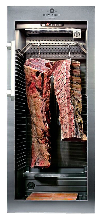 Шкаф для вызревания мяса DRY AGER DX1001+DX0060 - фото №2
