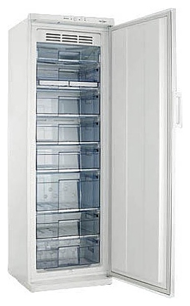 Шкаф морозильный Scan SFS 301 - фото №1