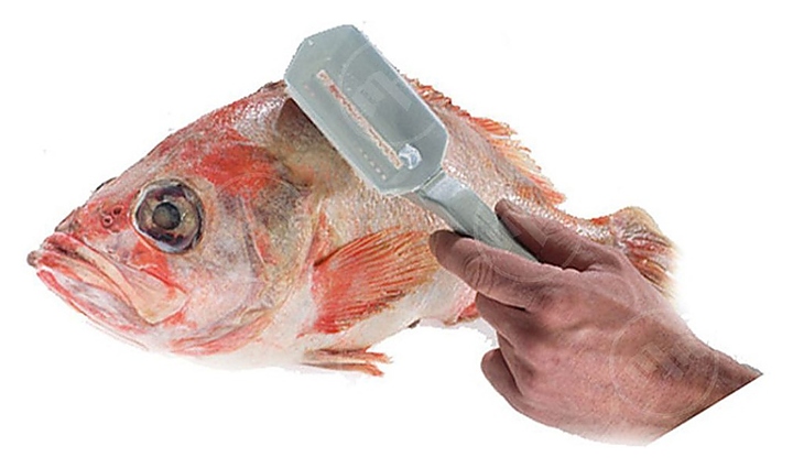 Нож для чистки рыбы Westmark 6500RA79, с контейнером - фото №2