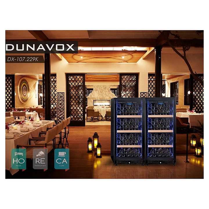 Винный шкаф Dunavox DX-107.229K - фото №2